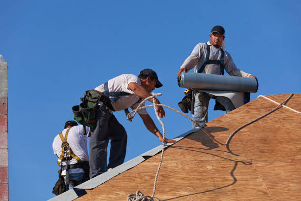 Best Shingle Roofing Installation  in Springhill, LA